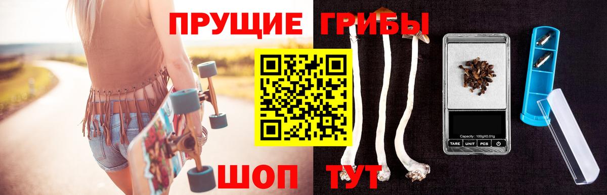Луга  как найти   Вход с VPN  Псилоцибиновые грибы Psilocybe 